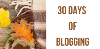 #NovemberBlogChallenge
